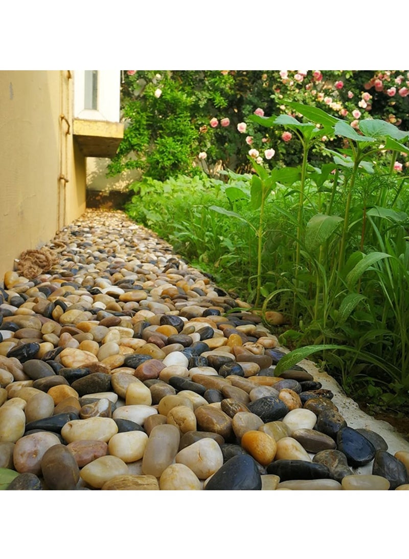 vsell24 20 كجم من أحجار النهر الطبيعية الكبيرة جدًا المصقولة للغاية للنباتات وأحجار الزينة في الحدائق، مثالية لحوض السمك والمزهريات والنباتات العصارية والحرف اليدوية وديكور المنزل ومناظر الحدائق - Image 2