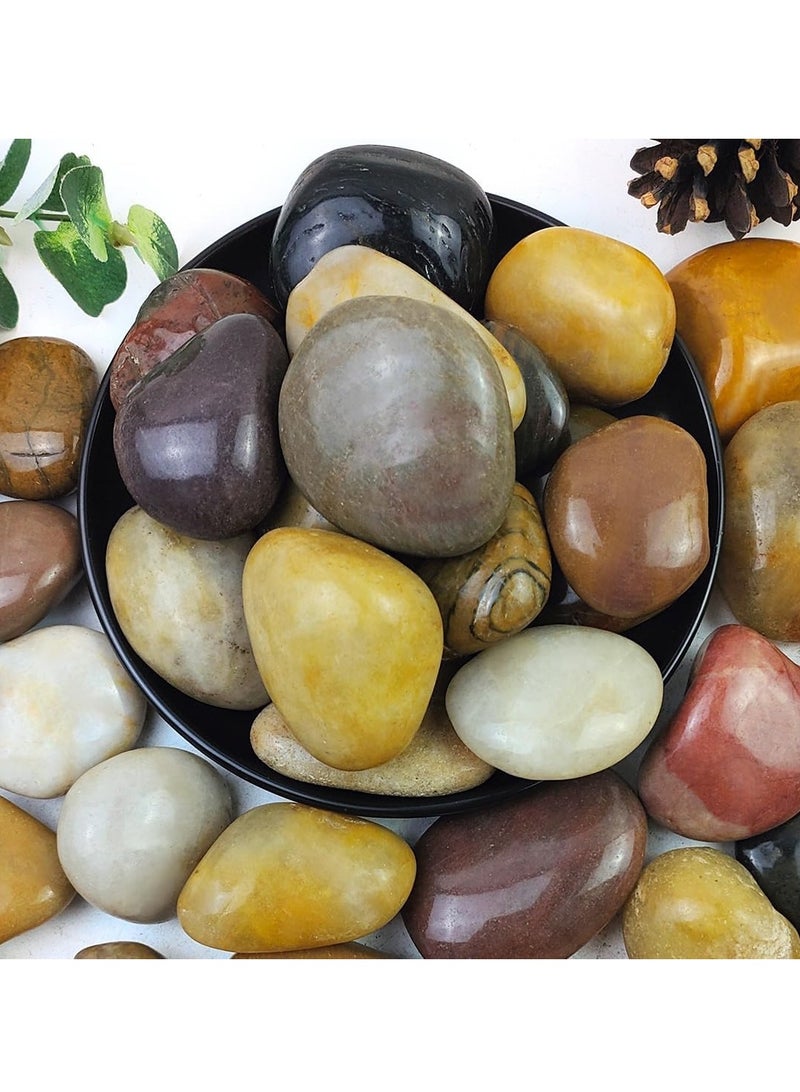 vsell24 20 كجم من أحجار النهر الطبيعية الكبيرة جدًا المصقولة للغاية للنباتات وأحجار الزينة في الحدائق، مثالية لحوض السمك والمزهريات والنباتات العصارية والحرف اليدوية وديكور المنزل ومناظر الحدائق - Image 1