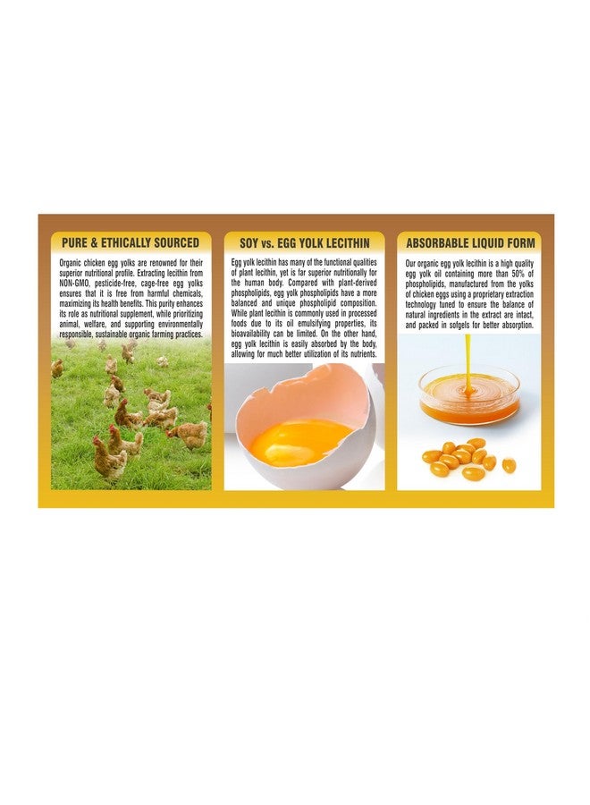 PHARMAKON Organic Egg Yolk Lecithin - Image 4