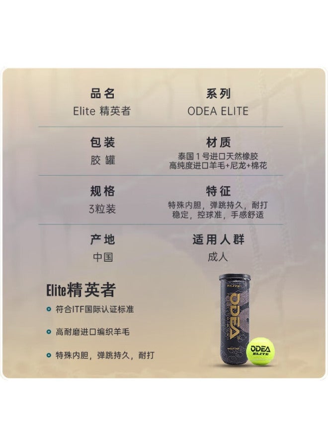Odear (Odear) Tennis 3-Pack Elite Player Match Tennis Club Advanced Training Tennis Dragon Pattern Canister - Image 3