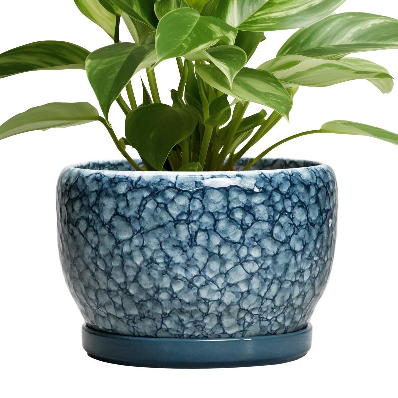 SQOWL 8 inch Plant Pot - Ceramic Pots for Plants Indoor, Decorative Plant Pot with Drainage Hole and Saucer, Ceramic Flower Pots Outdoor, Round Planter, Living Room Decor, Garden Gifts for Women, Blue - Image 1