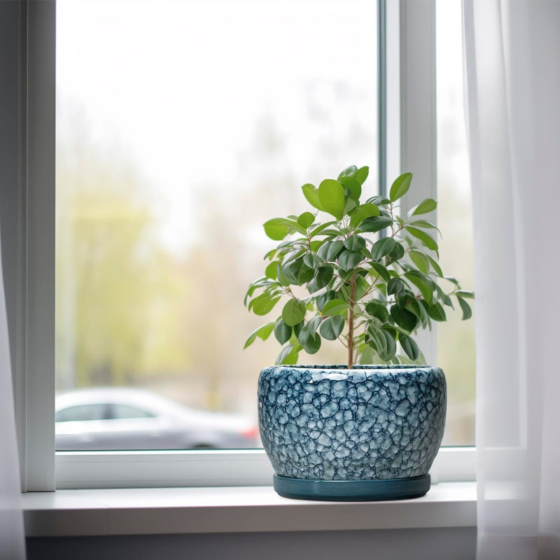 SQOWL 8 inch Plant Pot - Ceramic Pots for Plants Indoor, Decorative Plant Pot with Drainage Hole and Saucer, Ceramic Flower Pots Outdoor, Round Planter, Living Room Decor, Garden Gifts for Women, Blue - Image 4