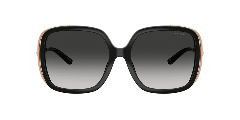 COACH Coach Woman Injected Sunglasses