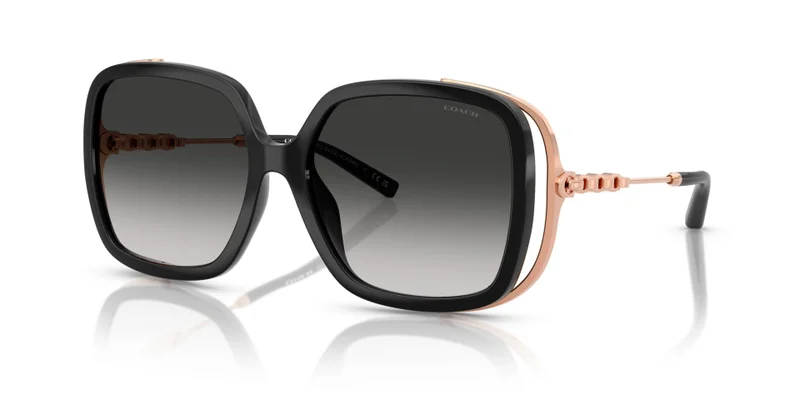 COACH Coach Woman Injected Sunglasses