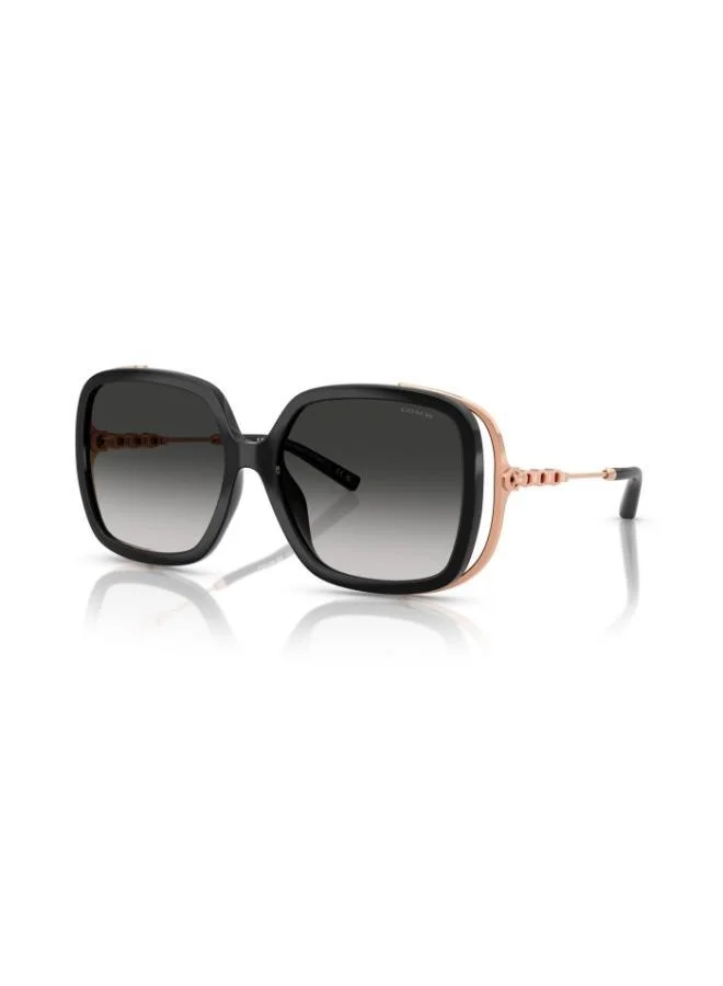 COACH Coach Woman Injected Sunglasses