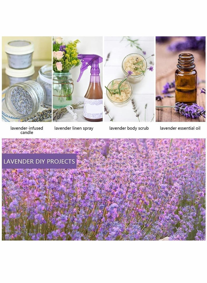 Y&D Lavender, Lavender Sachet, Filled with Premium Grade Dried Sachets for Drawers and Closets, Bridal Shower Favors, Home Fragrance Products, Closet Deodorizer Freshener, 10pcs  - Image 3
