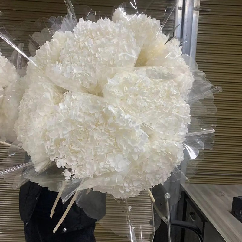 Bluejw High Quality Preserved Dried Flowers – Pure White Anna Large Leaf Hydrangea for Wedding, Home & Party Decoration - Image 2