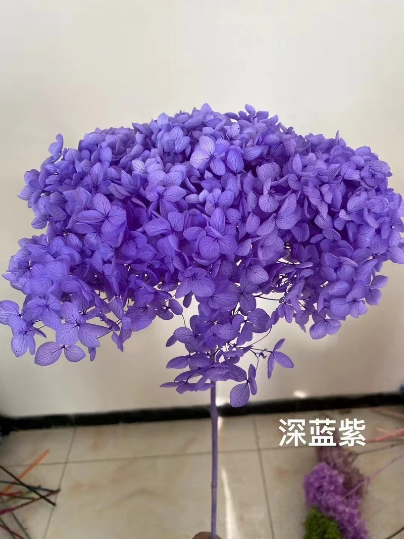 Bluejw High Quality Preserved Dried Flowers – Pure White Anna Large Leaf Hydrangea for Wedding, Home & Party Decoration - Image 1
