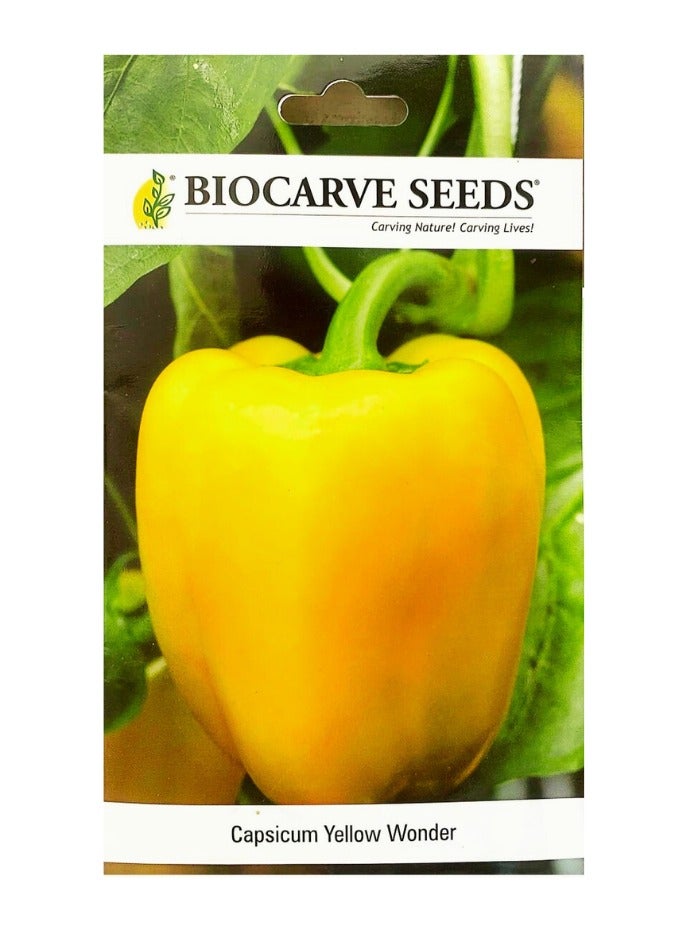 BIOCARVE SEEDS Yellow Wonder Pepper Seeds (Capsicum Yellow Wonder)