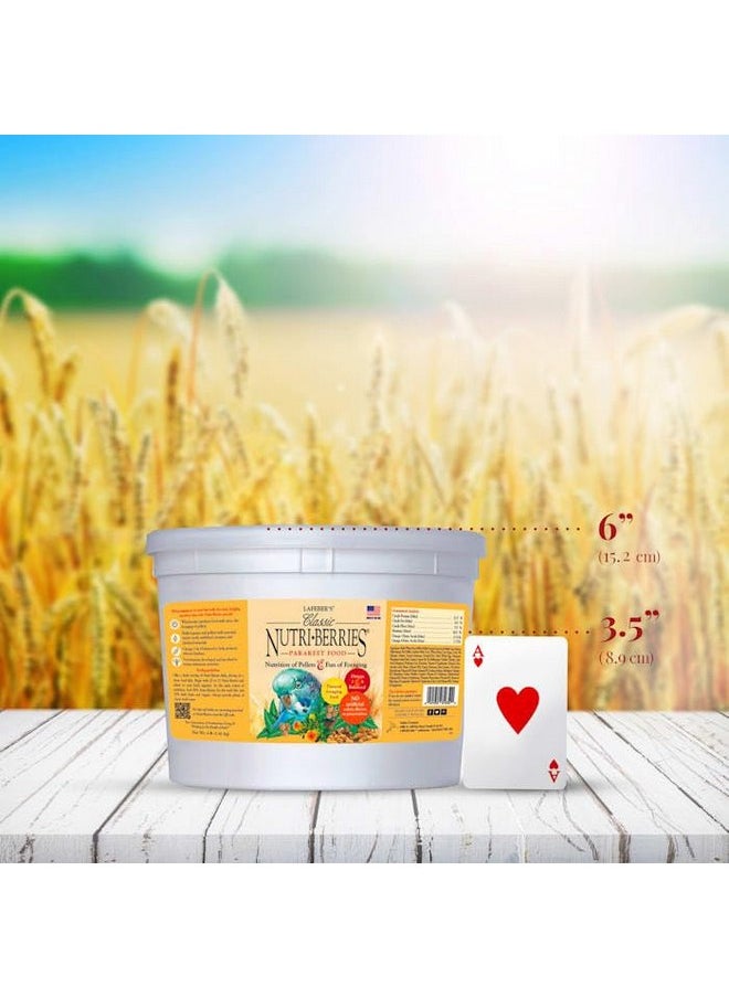 لافيبيرز طعام الطيور الأليفة الكلاسيكي Nutri-Berries من LAFEBER'S، مصنوع من مكونات غير معدلة وراثيًا ومناسبة للبشر، للببغاوات، 4 رطل  - Image 2