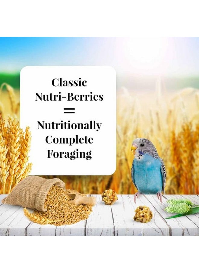 لافيبيرز طعام الطيور الأليفة الكلاسيكي Nutri-Berries من LAFEBER'S، مصنوع من مكونات غير معدلة وراثيًا ومناسبة للبشر، للببغاوات، 4 رطل  - Image 3