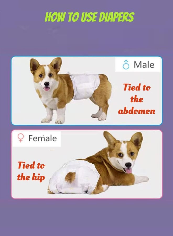 Disposable Dog Diapers Female Super Absorbent Doggie Diaper Puppy Diapers Leak-Proof Fit Cat Diapers for Doggy in Heat Excitable Urination Incontinence Training(L) - Image 5