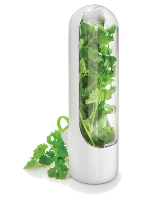 Fresh Herbs Saver, Herbs Keeper For Refrigerator, Herb Storage Container, Fresh Vegetables Keeper, Cilantro Storage Container