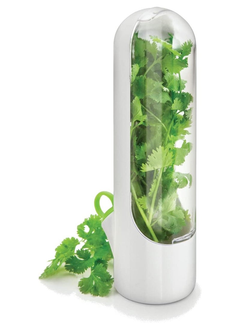 Generic - Fresh Herbs Saver, Herbs Keeper For Refrigerator, Herb Storage Container, Fresh Vegetables Keeper, Cilantro Storage Container - Image 1