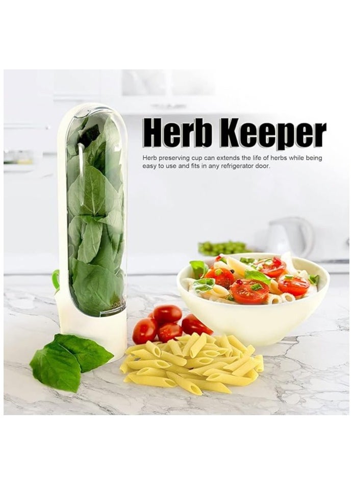 Generic - Fresh Herbs Saver, Herbs Keeper For Refrigerator, Herb Storage Container, Fresh Vegetables Keeper, Cilantro Storage Container - Image 1