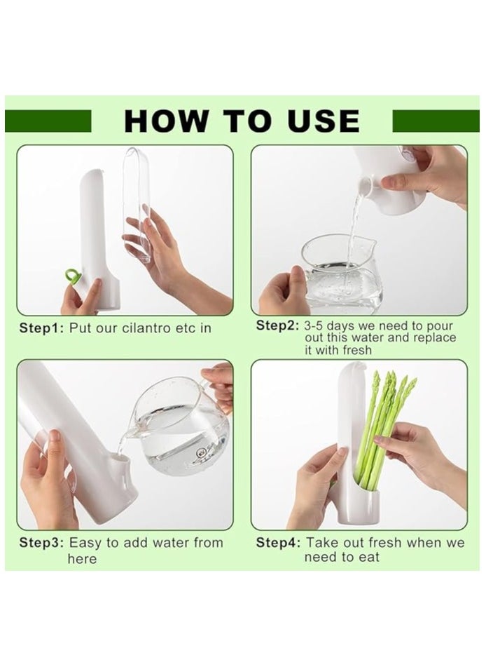 Generic - Fresh Herbs Saver, Herbs Keeper For Refrigerator, Herb Storage Container, Fresh Vegetables Keeper, Cilantro Storage Container - Image 1