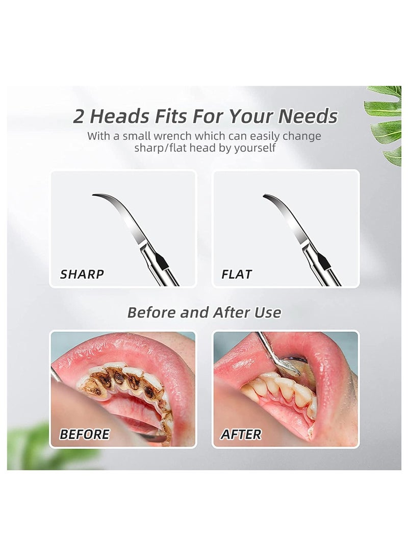 مزيل البلاك للأسنان، مزيل الجير بالموجات فوق الصوتية للأسنان، مجموعة تنظيف الأسنان القابلة لإعادة الشحن لإزالة حساب التفاضل والتكامل مع إضاءة LED، أسود - Image 2