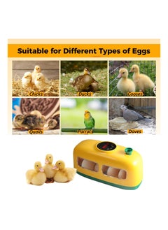 Generic 8-Egg Digital Incubator with LED Candler, Temperature & Humidity Control Display - Ideal Educational Tool for Hatching Chicken, Duck, Goose, Quail, and Bird Eggs.  - Image 5