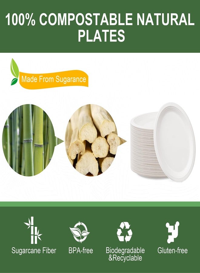 WELLIFE 100% Compostable Oval Paper Plates 12 Inch, 125-Pack Large Heavy Duty Paper Plates Bulk,Biodegradable Bagasse,Eco-Friendly Disposable Dinner Plate for BBQ,Picnic,Party (BPI Certified,Microwaveable - Image 4