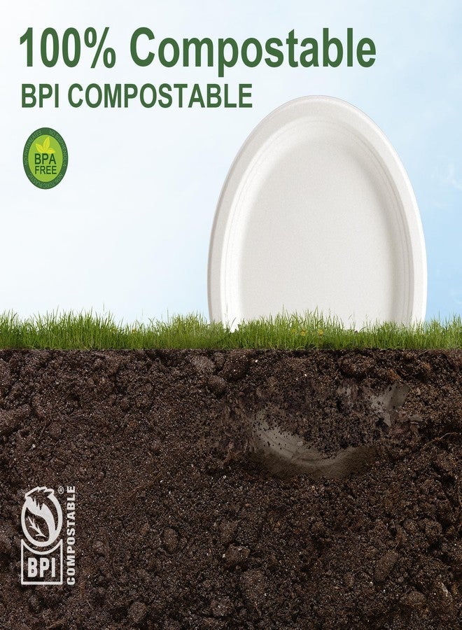 WELLIFE 100% Compostable Oval Paper Plates 12 Inch, 125-Pack Large Heavy Duty Paper Plates Bulk,Biodegradable Bagasse,Eco-Friendly Disposable Dinner Plate for BBQ,Picnic,Party (BPI Certified,Microwaveable - Image 5
