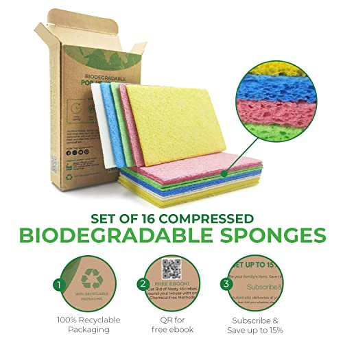 AIRNEX Biodegradable Cellulose Compressed Sponges - Pack of 16 Compostable Kitchen Pop Up Bulk - Non Scratch Multicolor Natural Dish Sponges - Heavy Duty Multipurpose Eco Friendly - Image 3