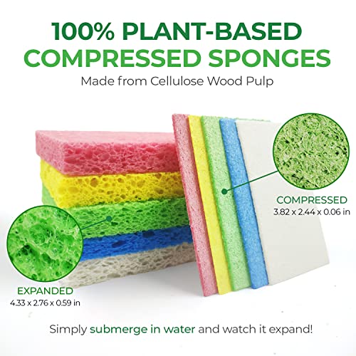 AIRNEX Biodegradable Cellulose Compressed Sponges - Pack of 16 Compostable Kitchen Pop Up Bulk - Non Scratch Multicolor Natural Dish Sponges - Heavy Duty Multipurpose Eco Friendly - Image 2