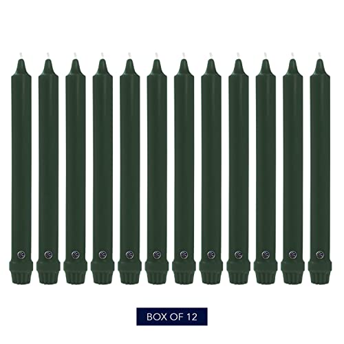 Colonial Candle Unscented Taper Candle, Classic Collection, Evergreen, 8 In, Pack of 12 - Up to 6 Hours Burn - Image 2