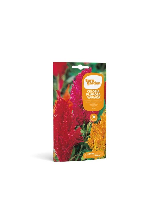 Euro Garden EG Celosia Seeds
