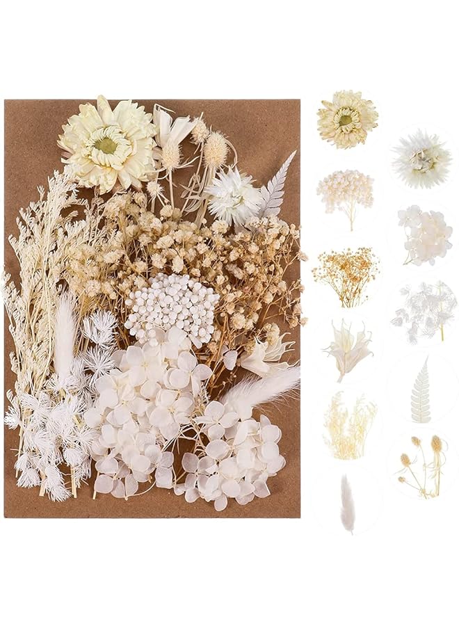 The Bros 2 Pack White Dried Flowers for Resin Jewelry Molds, Real Pressed Dry Flower Leaves with Tweezers, for DIY Crafts Nail Art Candle Soap Making Phone Case Jewelry Pendant Floral Decors - Image 1