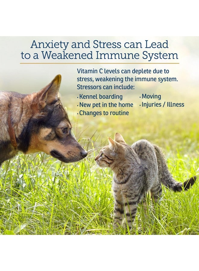 Rx Vitamins فيتامين Rx - فيتامين C للكلاب والقطط - مع البيوفلافونويدز الليمونية لتخفيف الحساسية - مكمل دعم المناعة - يعزز صحة الفراء والجلد - مكمل للمفاصل - 4 أوقية - Image 3