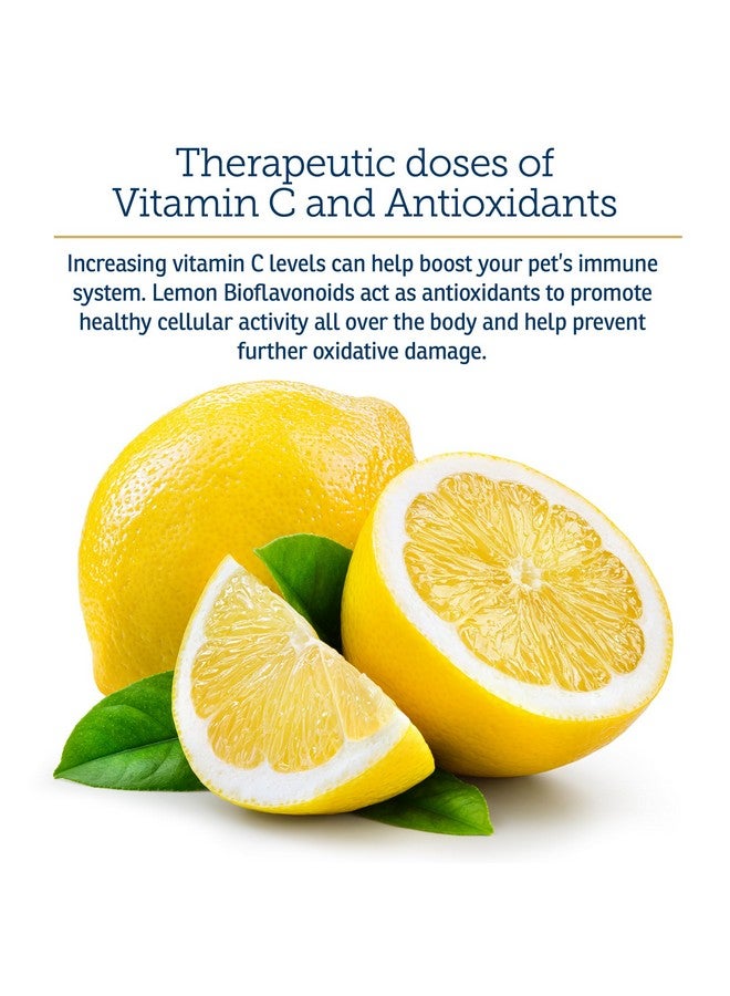 Rx Vitamins فيتامين Rx - فيتامين C للكلاب والقطط - مع البيوفلافونويدز الليمونية لتخفيف الحساسية - مكمل دعم المناعة - يعزز صحة الفراء والجلد - مكمل للمفاصل - 4 أوقية - Image 4