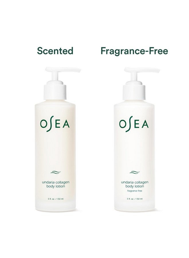OSEA Undaria Collagen Body Lotion Ultrahydrating & Lightweight Body Lotion Firms Skin In 4 Hours Packed With Vegan Collagen & Hyaluronic Acid For Dry Normal & Combination Skin - Image 3