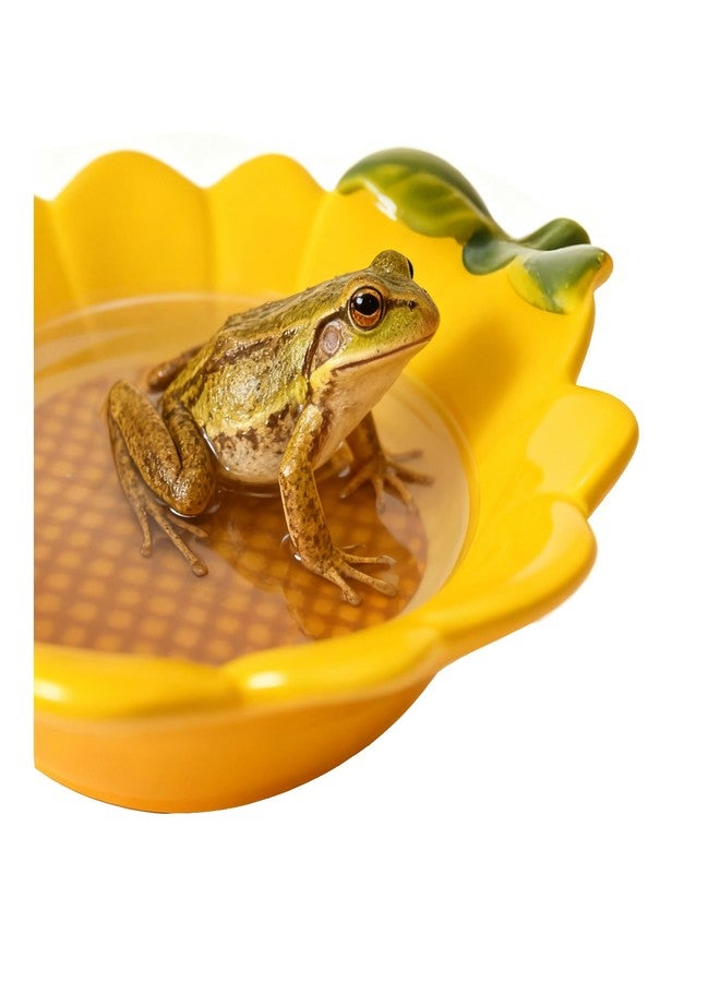 JSLZF Tree Frog Habitat Frog Water Bowl Dish Bathtub Tank Accessories Terrarium Decor Ceramic Aquarium Decoration Sturdy and Not Easy to Knock Over - Image 5