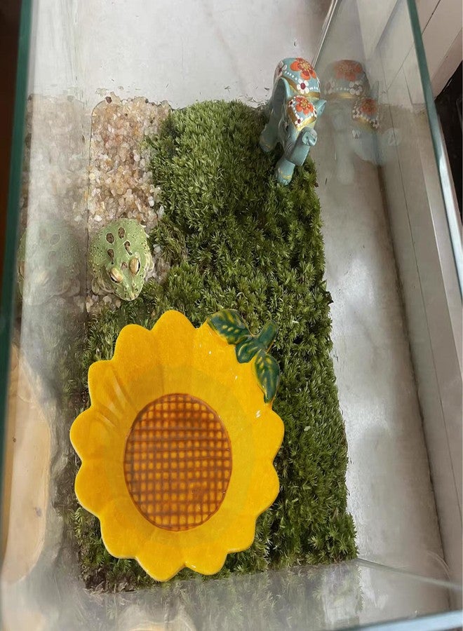 JSLZF Tree Frog Habitat Frog Water Bowl Dish Bathtub Tank Accessories Terrarium Decor Ceramic Aquarium Decoration Sturdy and Not Easy to Knock Over - Image 4