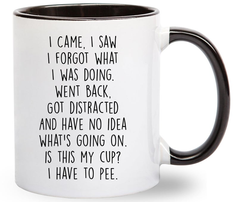 Gelid I Came I Saw I Forgot What I Was Doing Coffee Mug - Funny Senior Citizens Sarcastic Gifts Old People Elderly Mom Dad Grandma Grandpa - Presents Mothers Day Fathers Birthday - 11 oz Novelty Cup - Image 1
