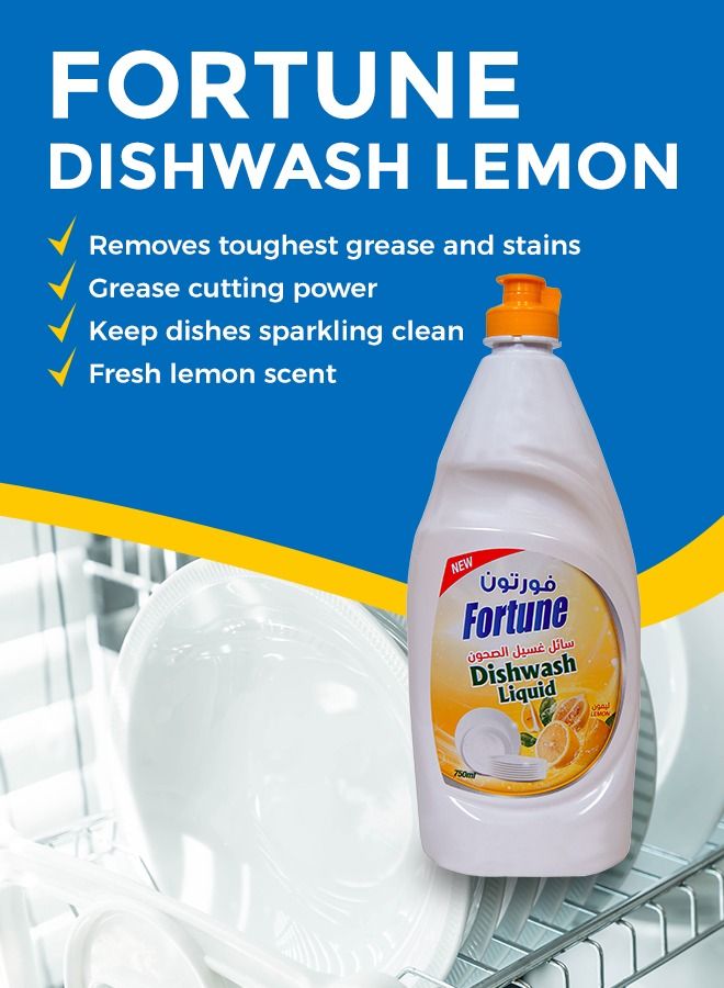 Fortune Dish wash 5L + 2x750ML with Scouring cream 2x500ml Bundle - Image 4