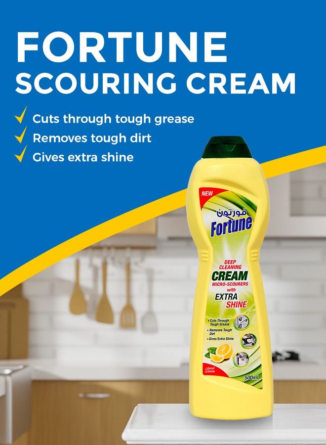Fortune Dish wash 5L + 2x750ML with Scouring cream 2x500ml Bundle - Image 3