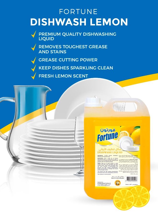 Fortune Dish wash 5L + 2x750ML with Scouring cream 2x500ml Bundle - Image 2