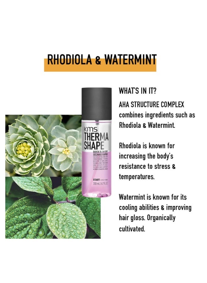 KMS THERMASHAPE Quick Blow Dry Spray for Full, Natural Blow Outs 6.7 oz - Image 5