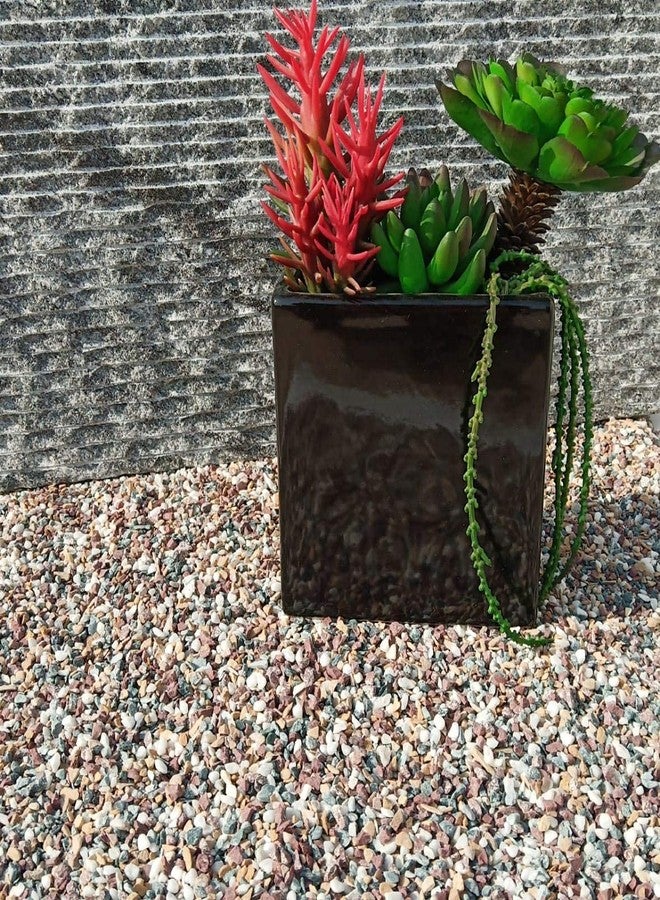 Samariya Natural Multi Color Marble Gravel Chips Pebble Decorative Stones for Aquarium Garden Indoor & Outdoor Decoration Pebble ETC (Small Size) (5 KG) - Image 2