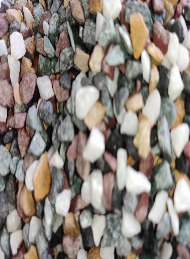 Samariya Natural Multi Color Marble Gravel Chips Pebble Decorative Stones for Aquarium Garden Indoor & Outdoor Decoration Pebble ETC (Small Size) (5 KG) - Image 5