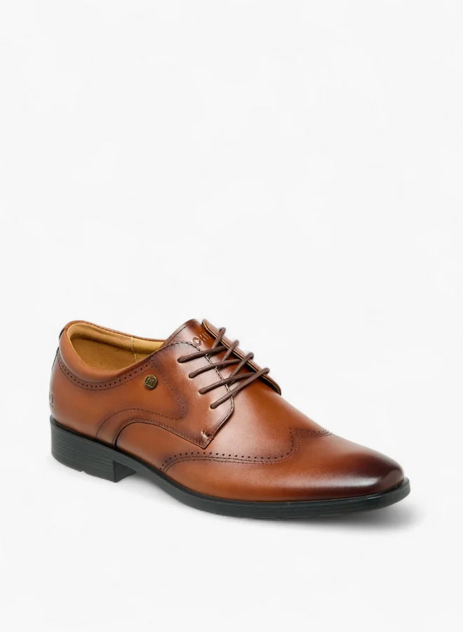 دوتشيني Men Lace-Up Leather Derby Shoes