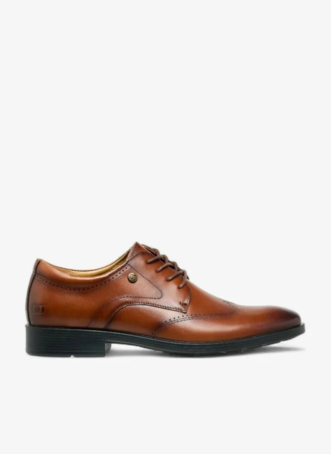 DUCHINI Men Lace-Up Leather Derby Shoes
