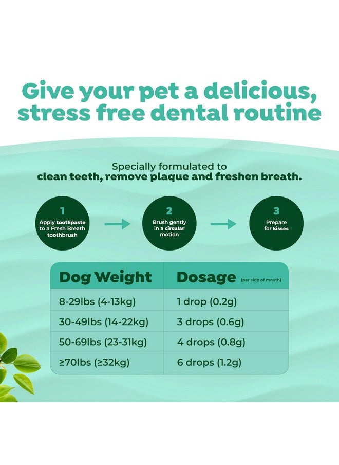 TropiClean TropiClean Fresh Breath - Dog Toothpaste - Dog Teeth Cleaning Peanut Butter & Honey Flavor - Freshens Breath and Cleans Teeth - 2oz  - Image 3