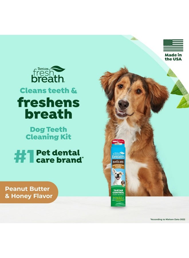 TropiClean TropiClean Fresh Breath - Dog Toothpaste - Dog Teeth Cleaning Peanut Butter & Honey Flavor - Freshens Breath and Cleans Teeth - 2oz  - Image 2