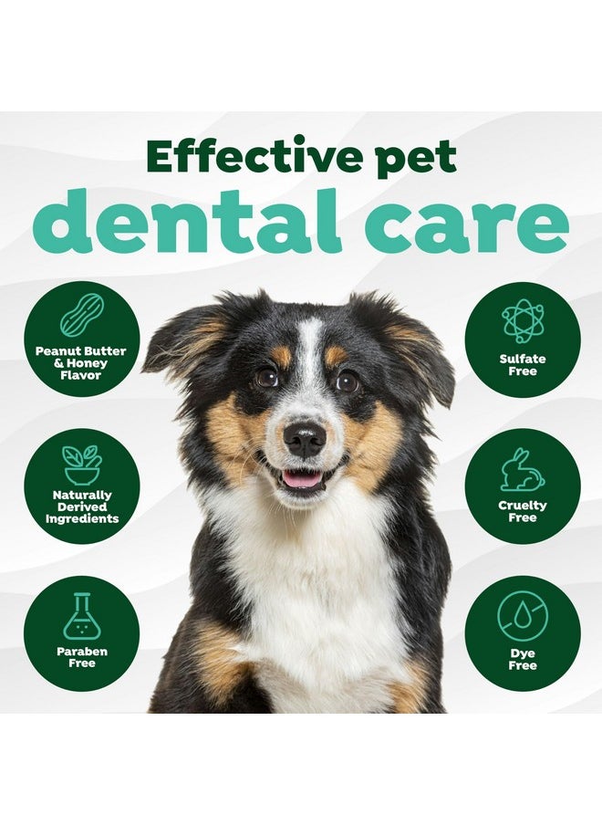 TropiClean TropiClean Fresh Breath - Dog Toothpaste - Dog Teeth Cleaning Peanut Butter & Honey Flavor - Freshens Breath and Cleans Teeth - 2oz  - Image 4