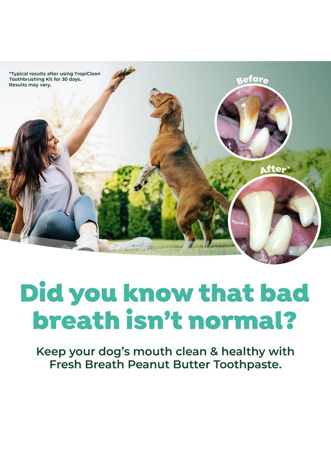 TropiClean TropiClean Fresh Breath - Dog Toothpaste - Dog Teeth Cleaning Peanut Butter & Honey Flavor - Freshens Breath and Cleans Teeth - 2oz  - Image 5