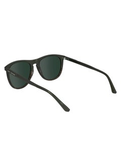 CALVIN KLEIN FULL RIM ACETATE AVIATOR CALVIN KLEIN SUN CK24508S  5518 (303) GREEN/STRIPED BROWN  - Image 5