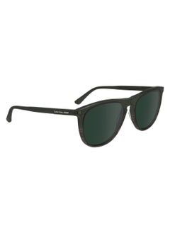 CALVIN KLEIN FULL RIM ACETATE AVIATOR CALVIN KLEIN SUN CK24508S  5518 (303) GREEN/STRIPED BROWN  - Image 3