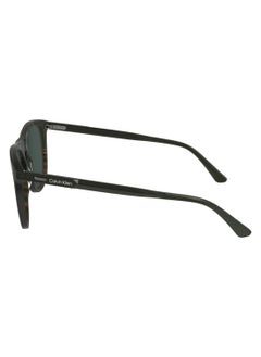 CALVIN KLEIN FULL RIM ACETATE AVIATOR CALVIN KLEIN SUN CK24508S  5518 (303) GREEN/STRIPED BROWN  - Image 4